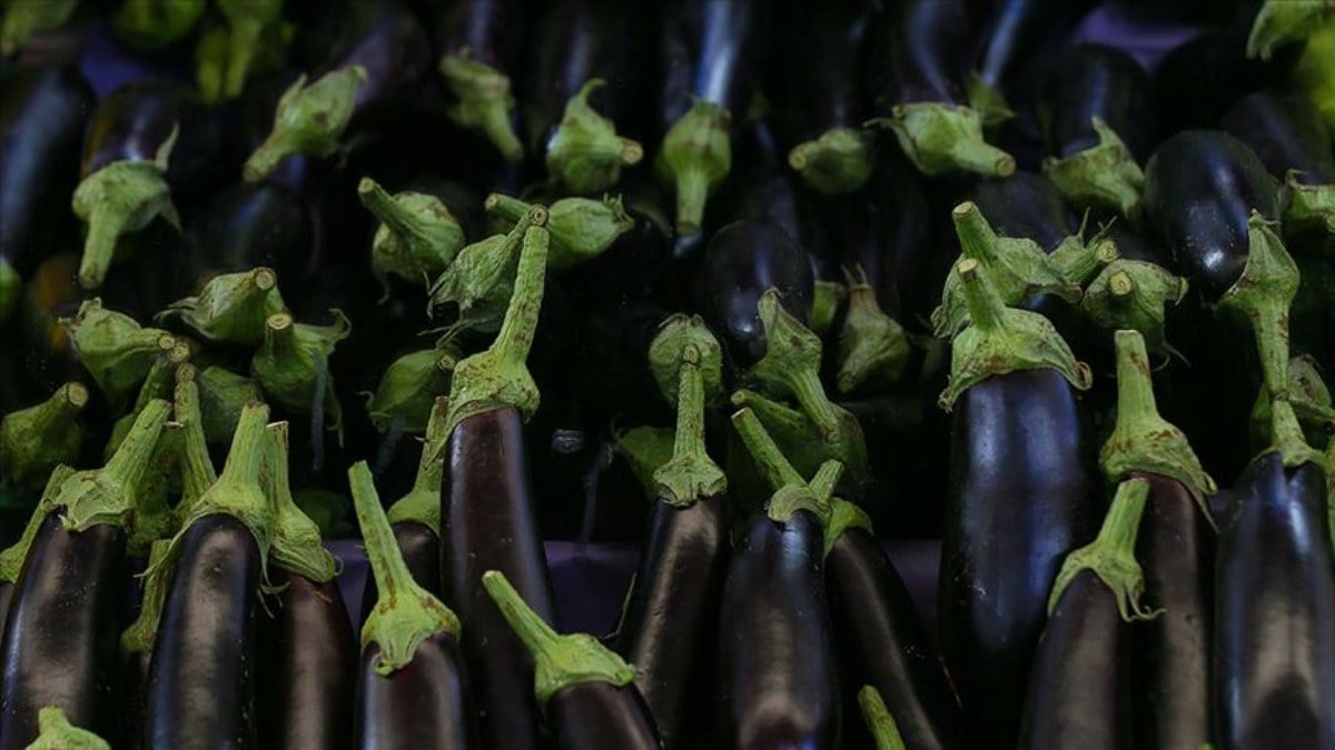 Patlıcan sapı mucizesi! Kaynatıp için, basuru dindirin…