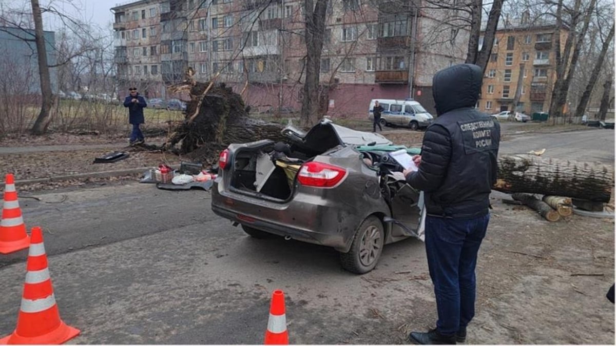 Rusya’da hareket halindeki aracın üzerine ağaç devrildi: 2 ölü