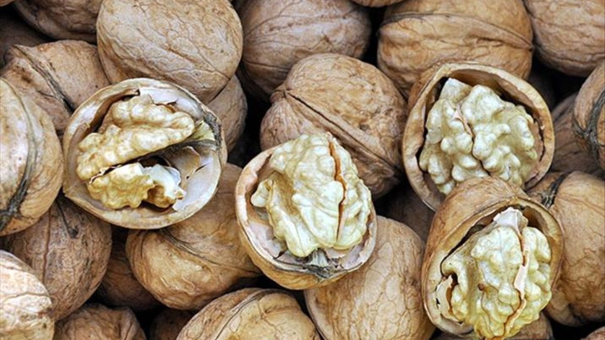 Samsun’da nefes borusuna ceviz kaçan yaşlı kadın öldü