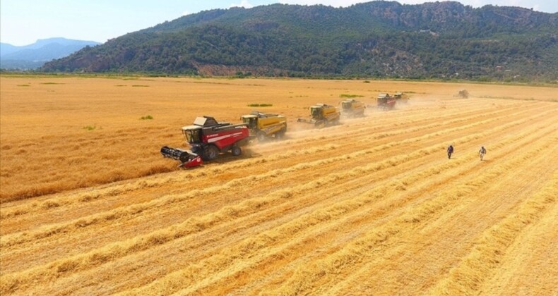 Tarımsal girdi enflasyonu eylülde yüzde 2,63 arttı