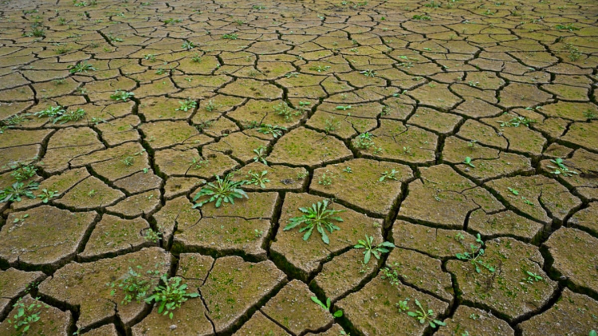 Tasarruf çağrısı yapıldı! İstanbul’daki 10 barajdan 3’ü ‘alarm’ veriyor