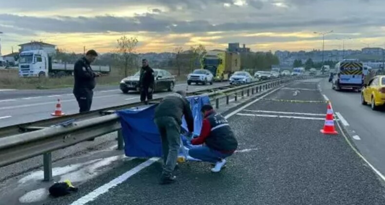 Tekirdağ’da yürüyüşe çıkardığı köpeğiyle birlikte öldü