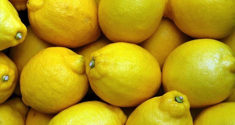 TZOB: Üretici ile market arasındaki fiyat farkı en fazla yüzde 683 ile limonda