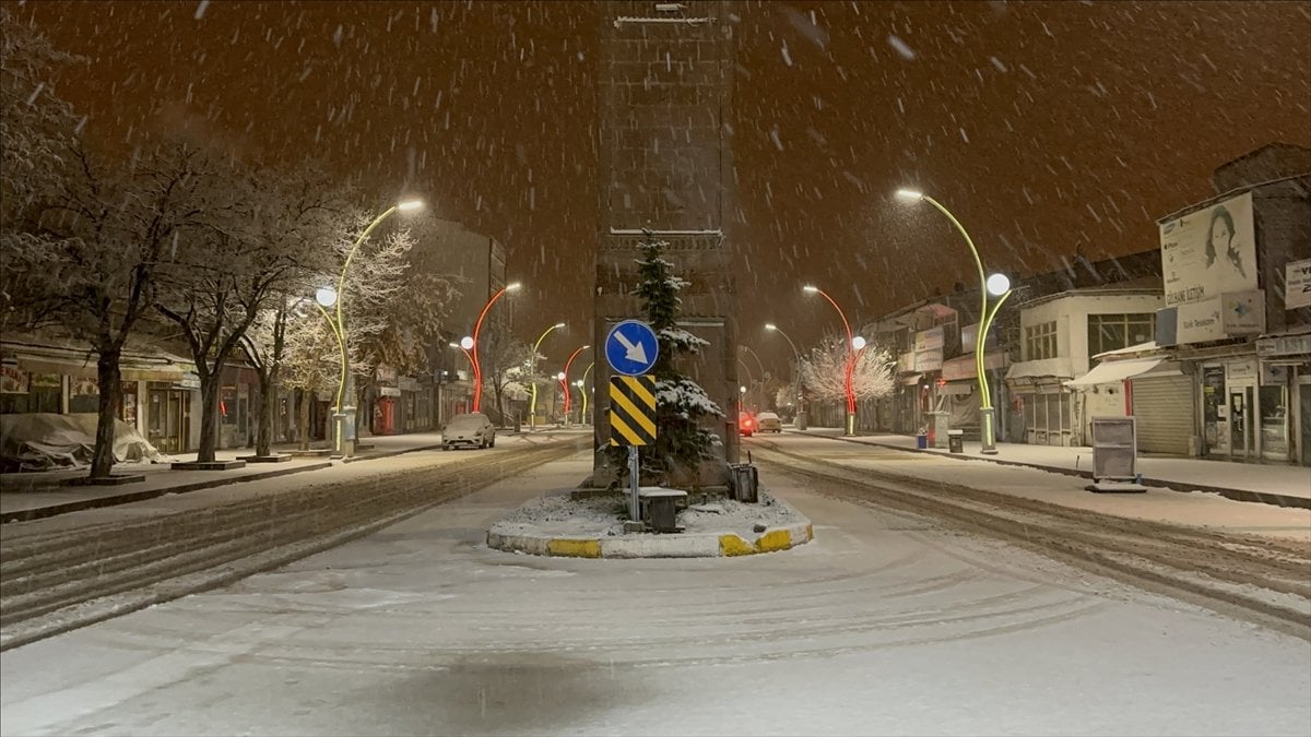 Van’da etkili kar yağışı