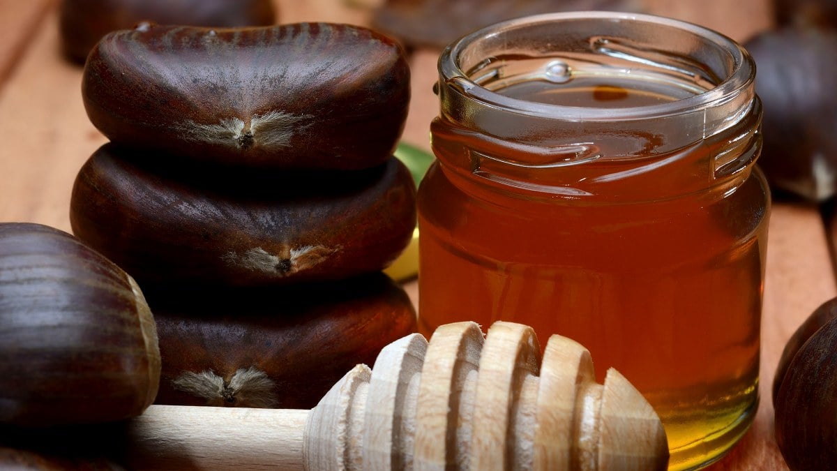 Aç karnına kestane balı yiyin, neler oluyor bakın…