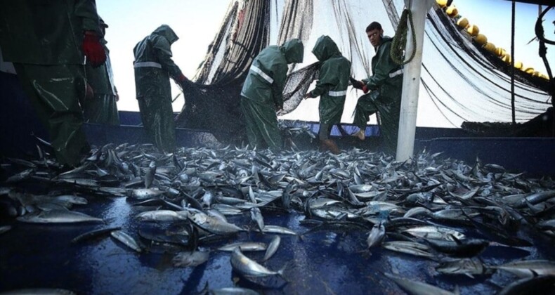 Akdeniz ve Karadeniz’de aşırı avlanma azaldı