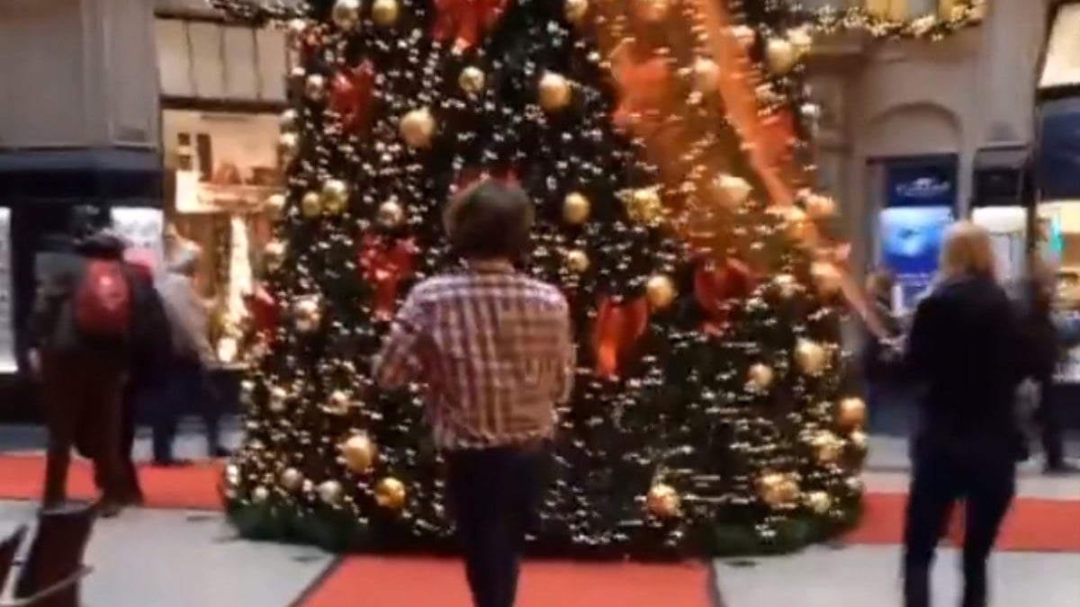 Almanya’da iklim aktivistleri, Noel ağacını hedef aldı