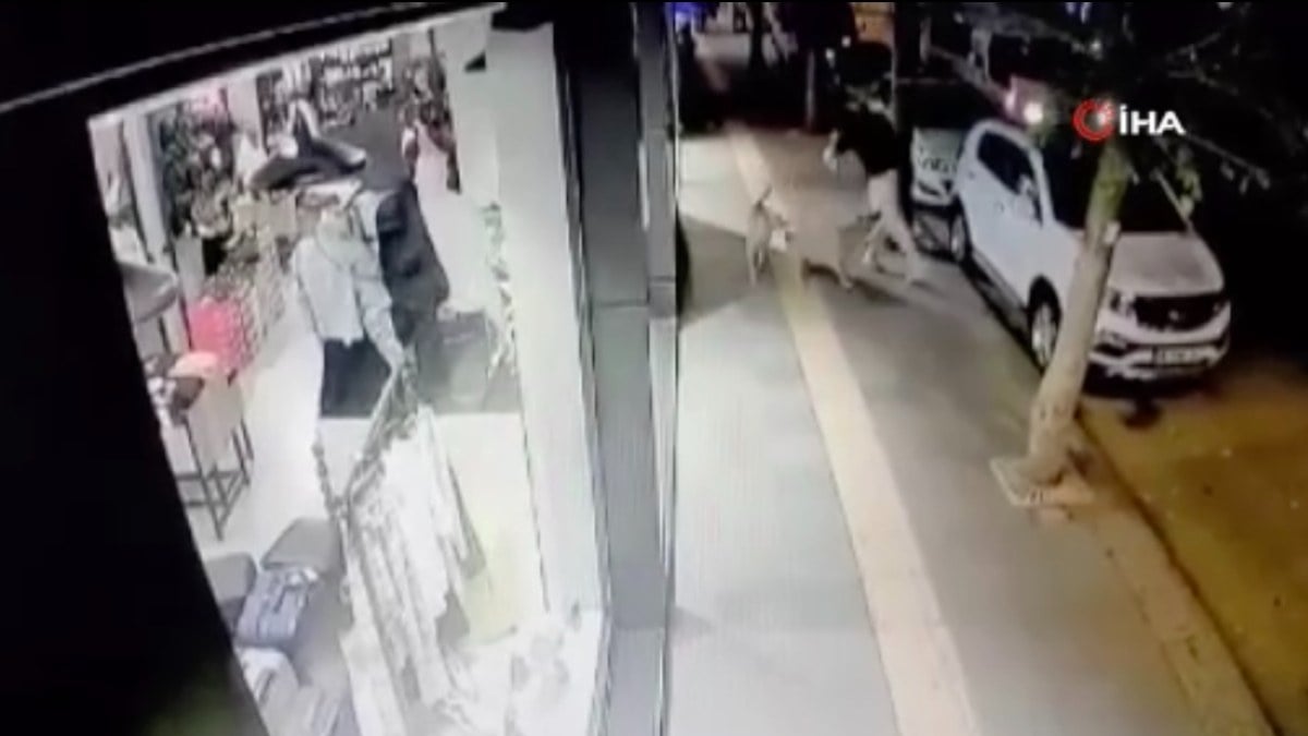 Ankara’da başıboş köpekler yoldan geçen gence saldırdı