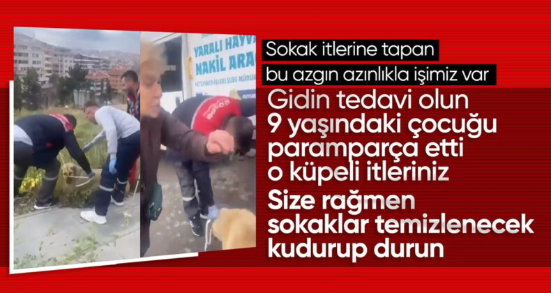 Ankara’da köpekleri toplayan belediye görevlilerine kadınlardan tepki