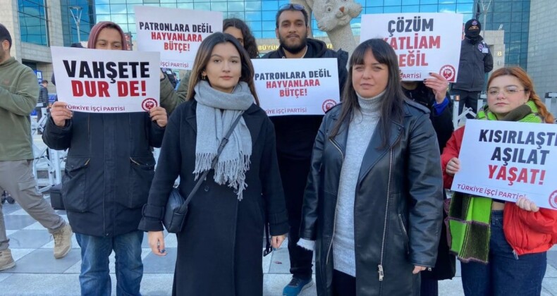 Ankara’da sokak köpeklerinin toplanmasına tepki! Belediyeyi protesto ettiler