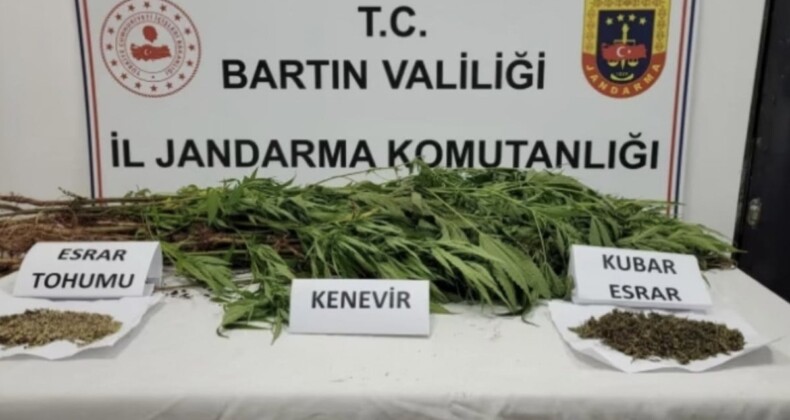 Bartın’da Hint keneviri ekerken fotokapana yakalandı: 3 yıl hapis