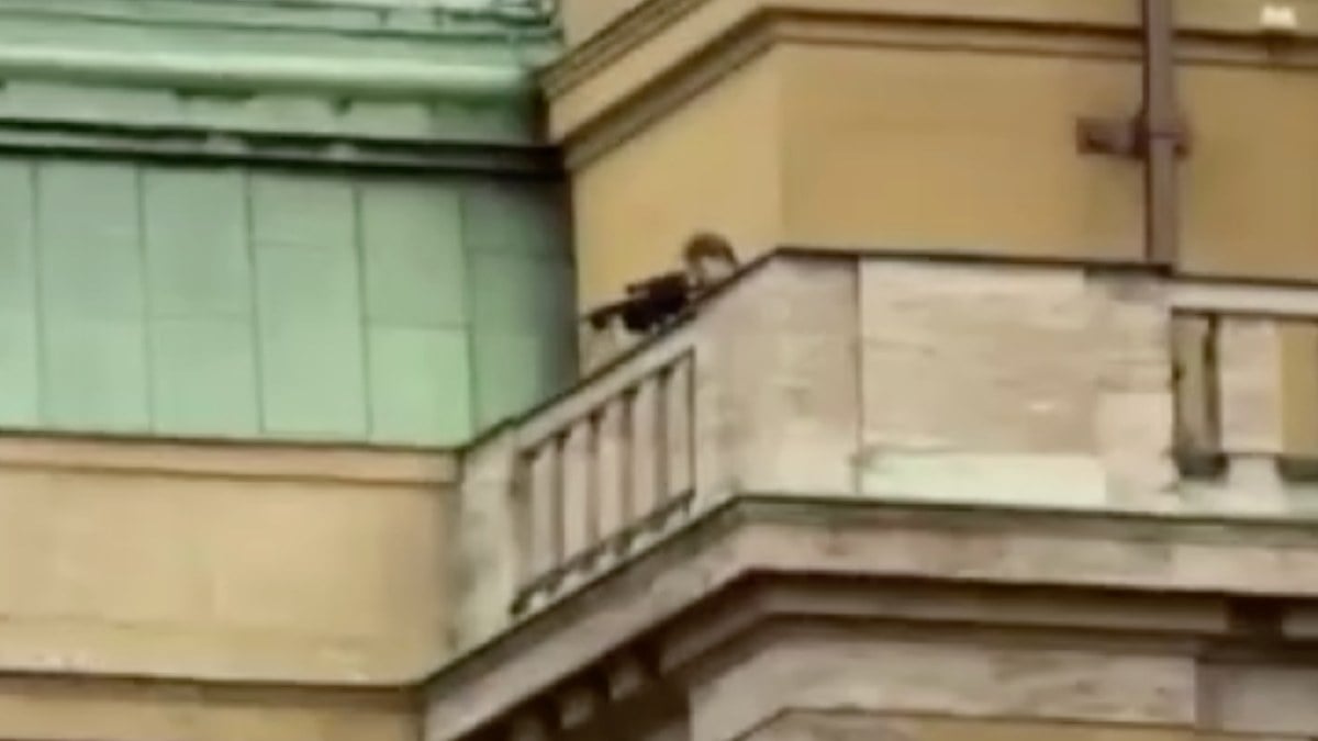 Çekya’da 15 kişinin öldüğü saldırıya ilişkin yeni görüntüler ortaya çıktı