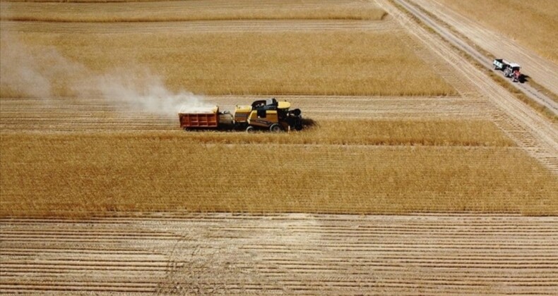 Çiftçilere 406 milyon liralık destekleme ödemesi yapıldı