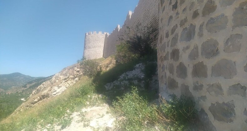 Çorum’da oğlunu surlardan iterek öldüren anneye müebbet hapis