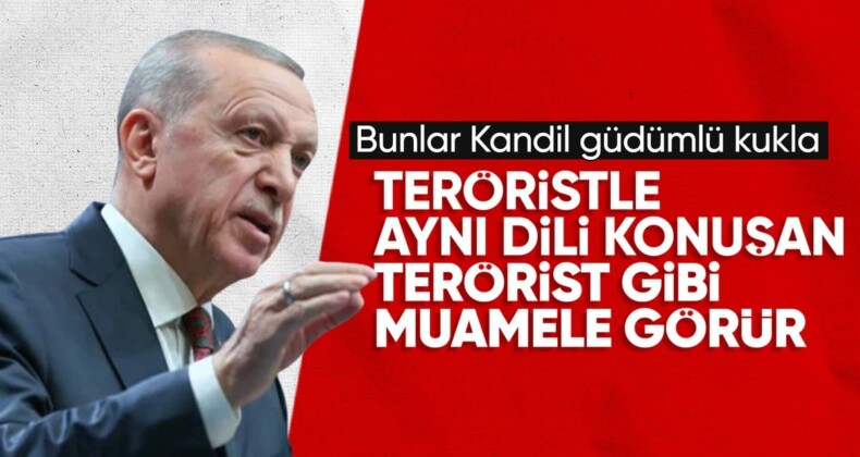 Cumhurbaşkanı Erdoğan: Kandil güdümlü kuklalardan insani bir duruş beklenemez