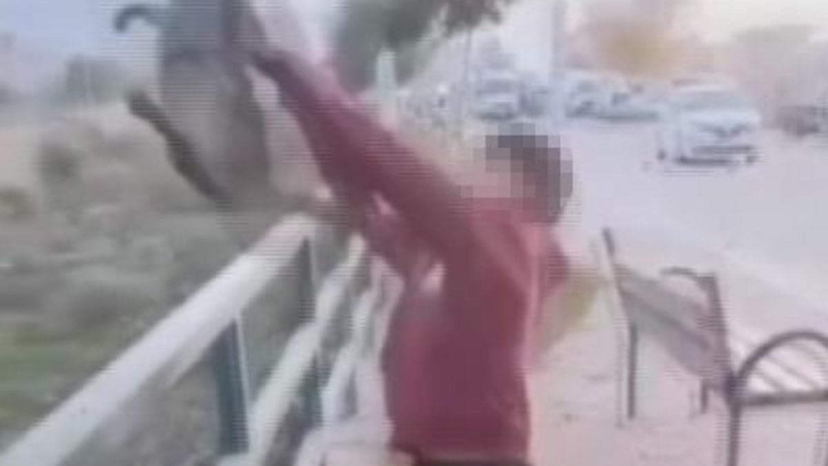 Hatay’da TikTok’ta izlenme uğruna kediye acımasızca eziyet ettiler