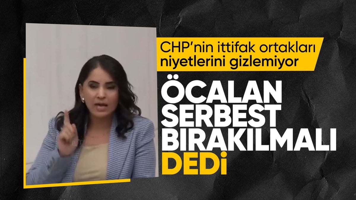 HDP’li vekilden TBMM’de Öcalan’a övgü