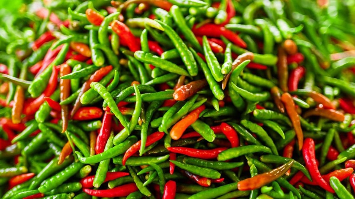 Her gün 1 tane acı biber yiyin, neler oluyor bilin…