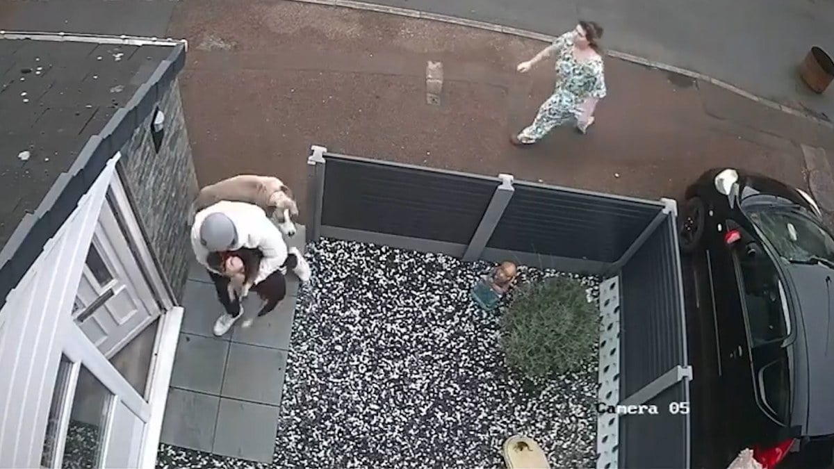 İngiltere’de korku dolu anlar: Saldırgan köpeğin elinden zor kurtuldu