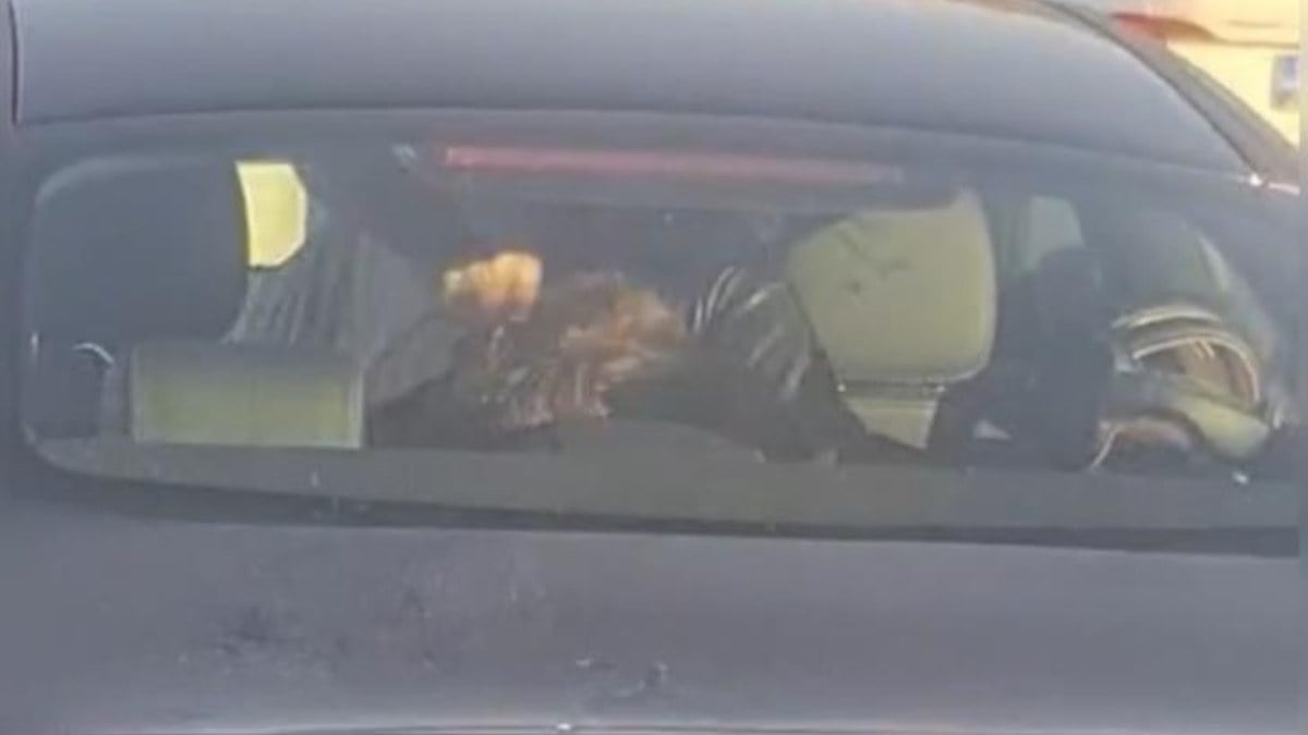 İstanbul’da kadına şiddet! Eşini engelli çocuğunun yanında darbetti