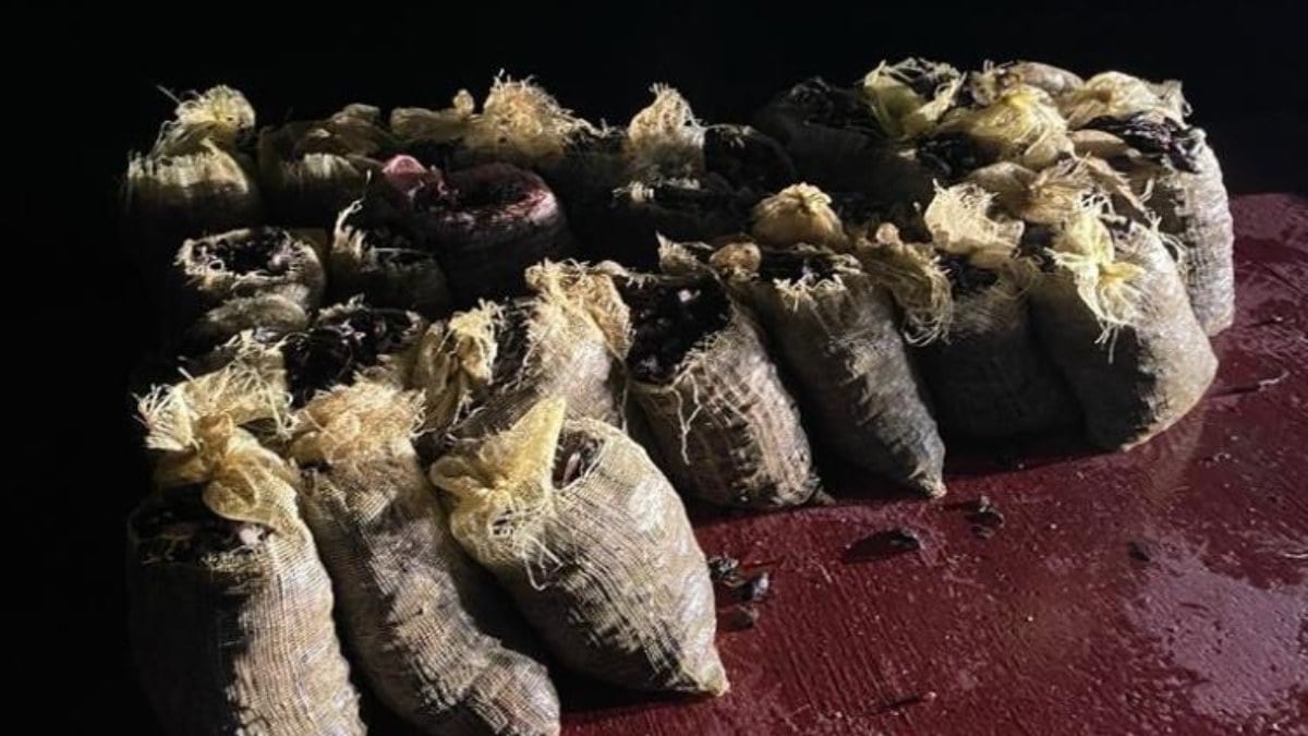 İstanbul’da polis enselendi! 4 buçuk ton kaçak midye ele geçirildi