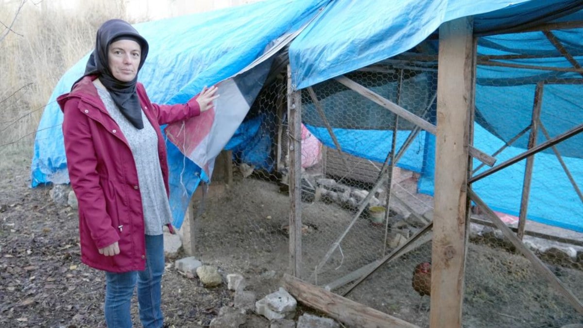 Kastamonu’da sokak köpeği dehşeti! Geçim kaynağı telef oldu