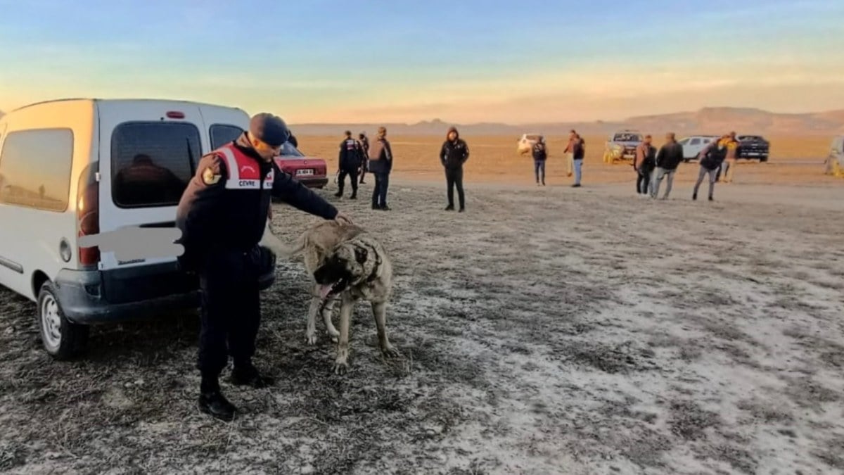 Kayseri’de bahisle köpek dövüştürenlere ceza yağdı
