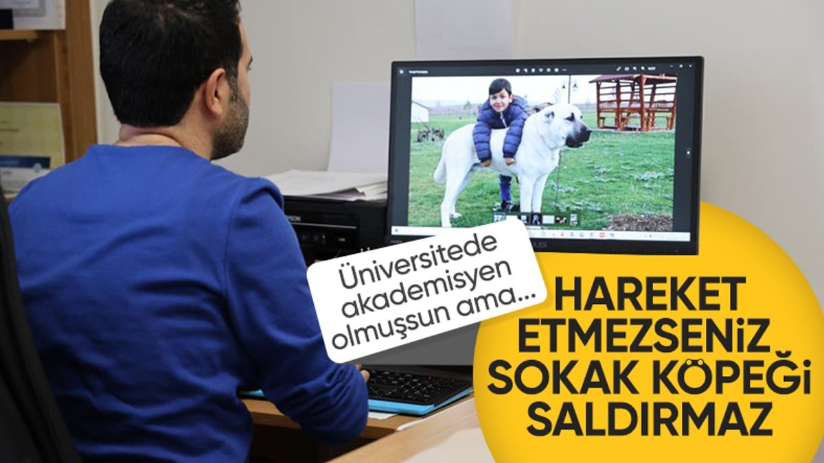 Köpek saldırılarından korunmak için yine aynı yöntem önerildi: Hareketsiz kalın