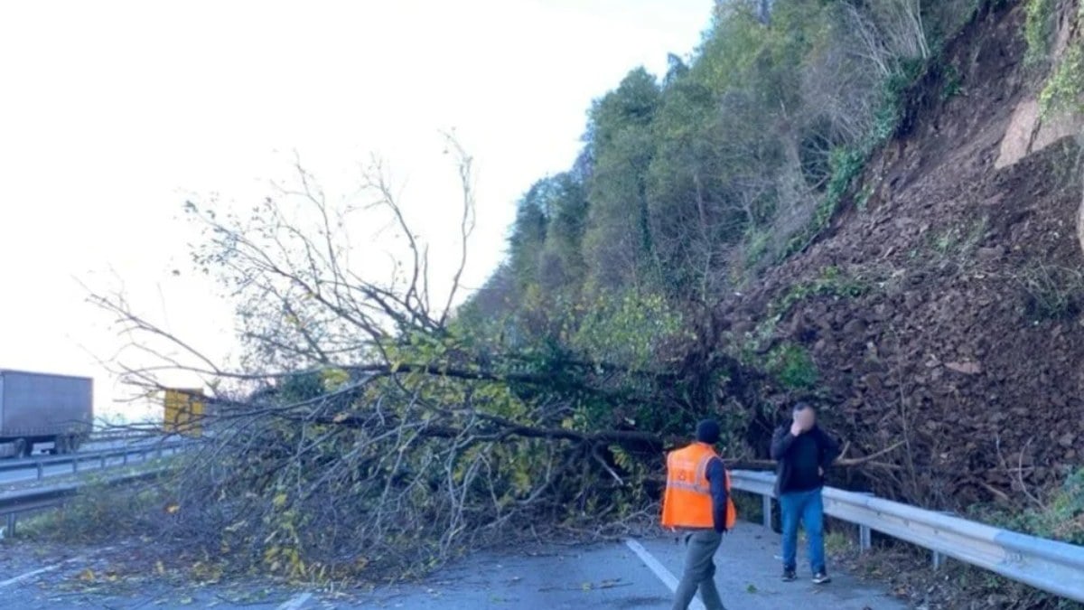 Korkunç anlar: Artvin’de heyelan! Ekipler çalışma başlattı…