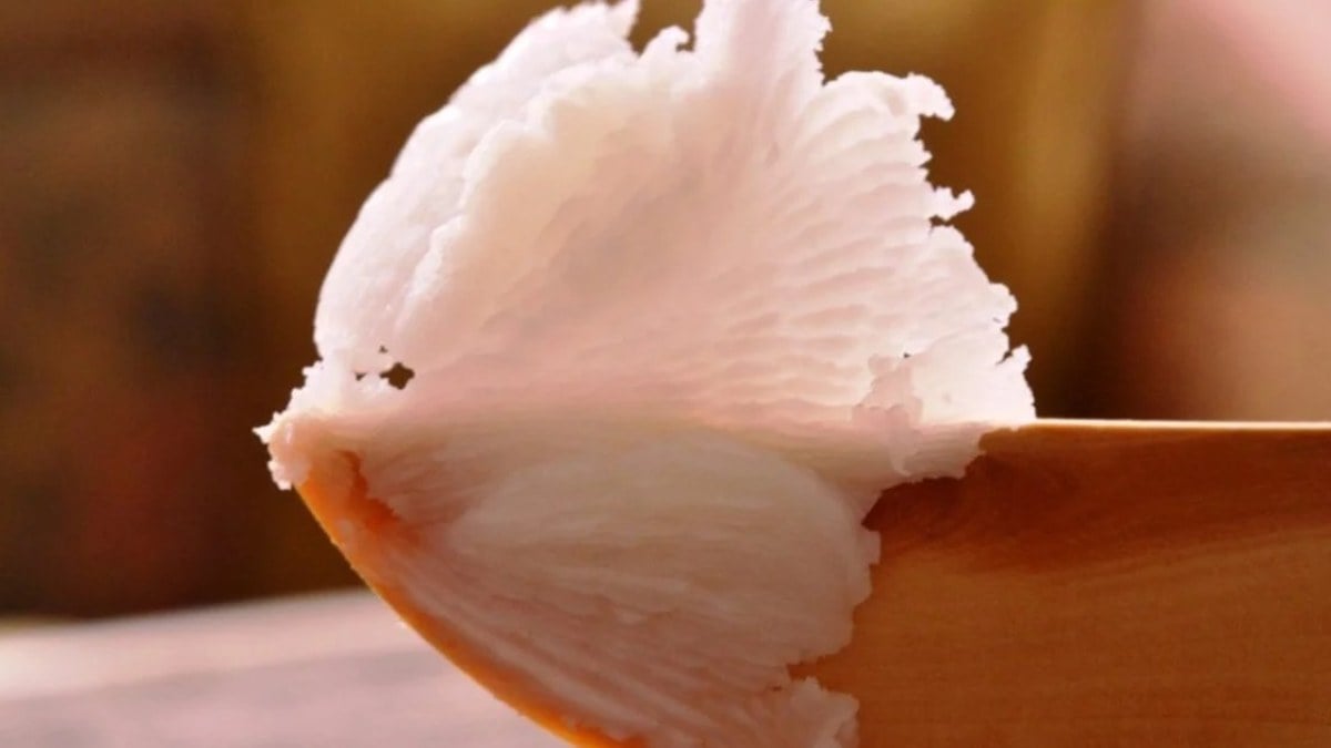 Kuyruk yağı ile vazelin karışımının faydaları! Mucize diyorlar…