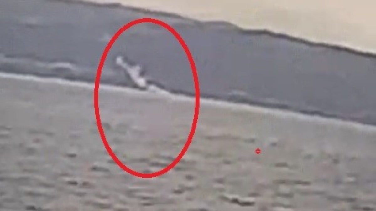 Marmara 5.1’le sarsılmıştı! Denizin ortasından çıkan duman kaydedildi