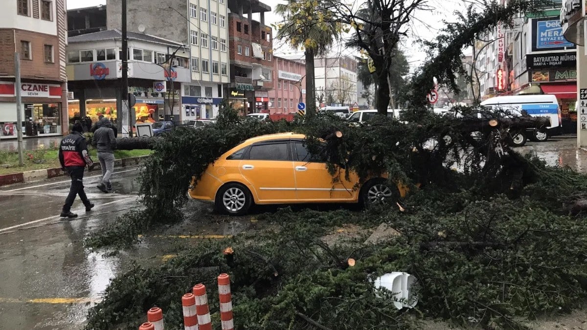 Rize’de fırtınanın devirdiği ağaç taksilere zarar verdi