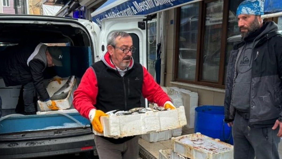 Sinop’ta tezgahlarda balık bolluğu yaşanıyor! Deniz suyu sıcaklığı düştü avcılık arttı