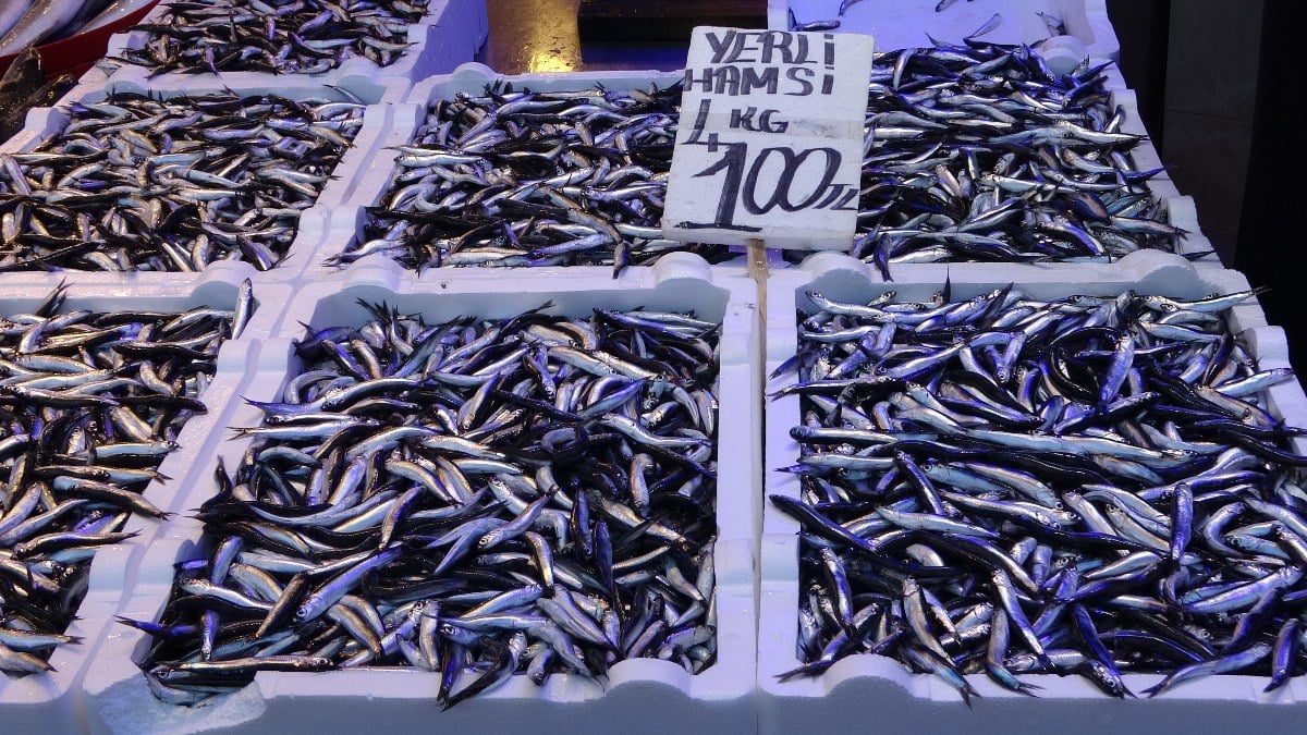 Trabzon’da hamsi bolluğu: Son 10 yılın en bereketli sezonu yaşanıyor