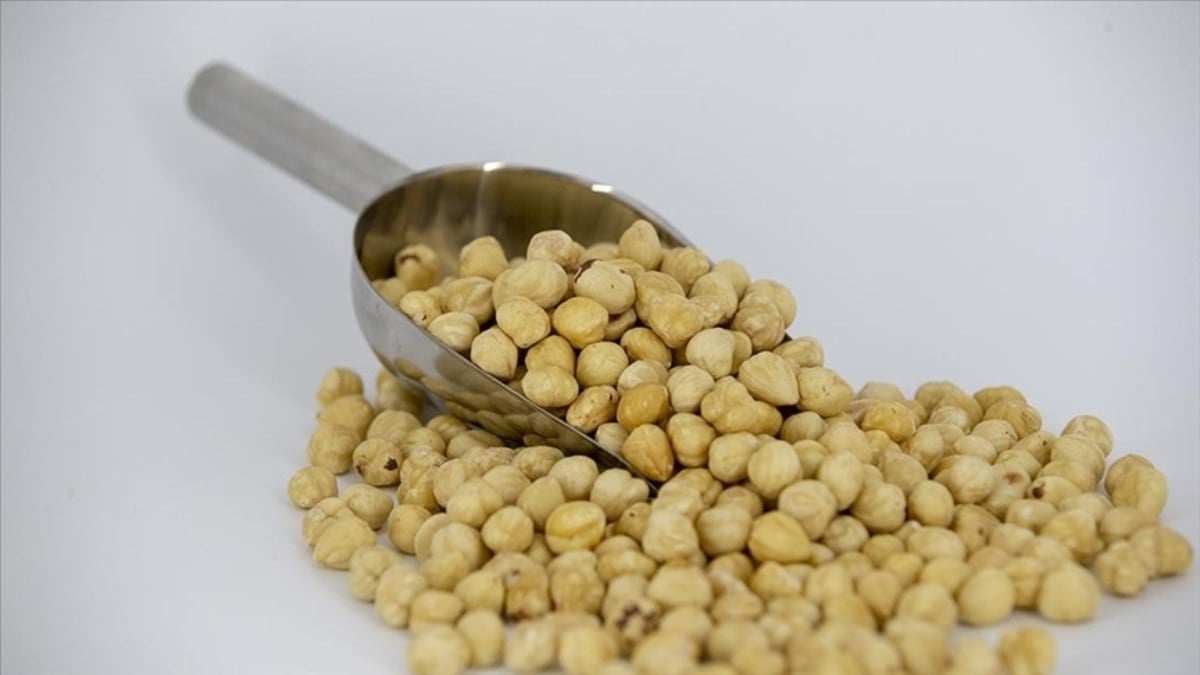 Türkiye’nin 3 aylık fındık ihracatı 572 milyon doları aştı