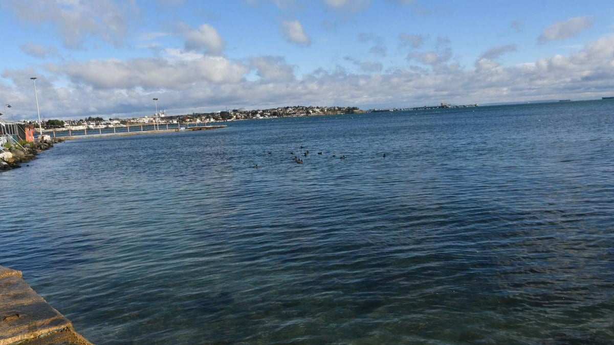 Türkiye’nin denizleri ısınıyor: Marmara’da sıcaklık 50 yılda 2,5 derece arttı