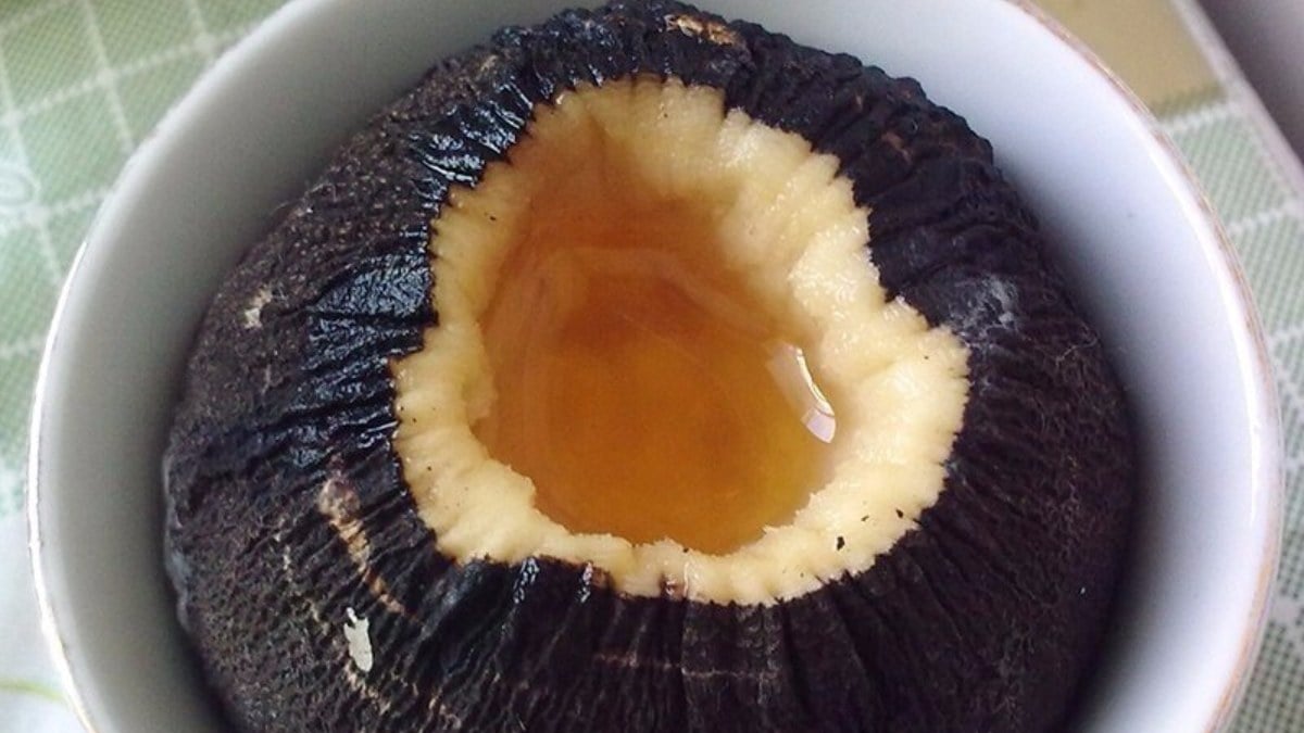 1 kaşık yiyin, 30 yıl öksürmeyin! Ciğerleri pırıl pırıl ediyor…