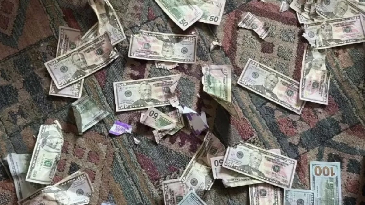 ABD’de çiftin 4 bin dolarını köpek yedi: Parayı dışkısında aradılar