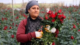 Adana’da güller 14 Şubat Sevgililer Günü için gün sayıyor
