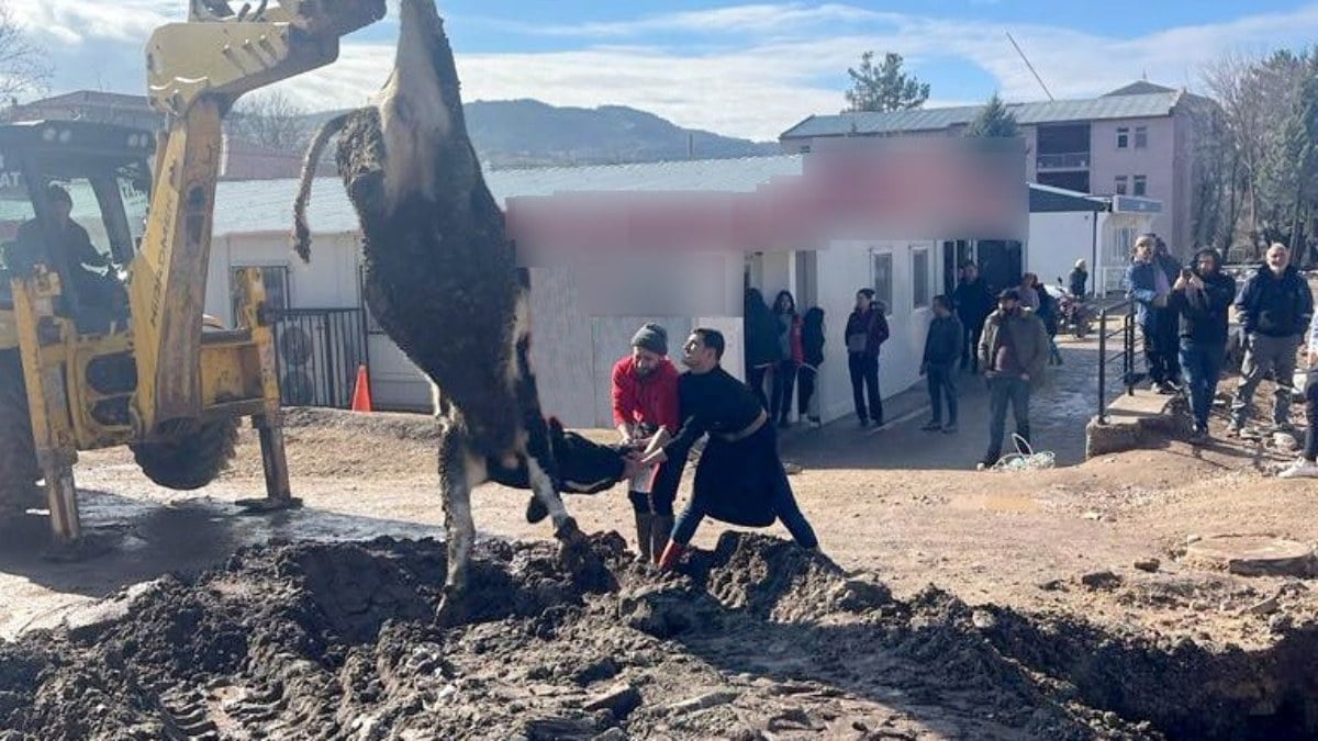Adıyaman’da banka müdürünün tayini çıkınca kurban kestiler
