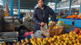 Ağaç sayısı azaldı! Bolu’da Seben elmasının üretimi yüzde 52 düştü