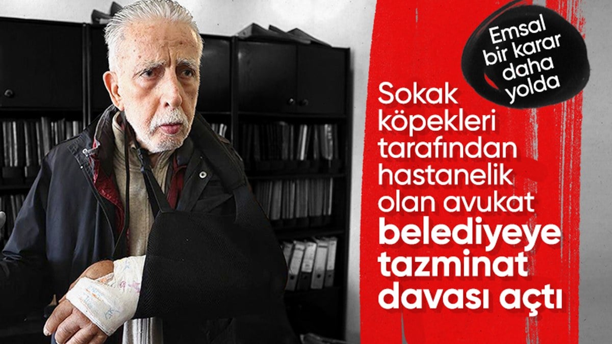 Antalya’da köpeklerin saldırısına uğrayan avukat belediyeyi dava etti