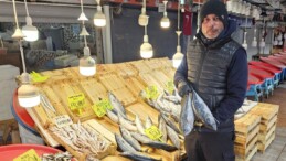 Balıkesir’de fırtına balık fiyatlarını artırdı! Uygun fiyat için havanın düzelmesi bekleniyor