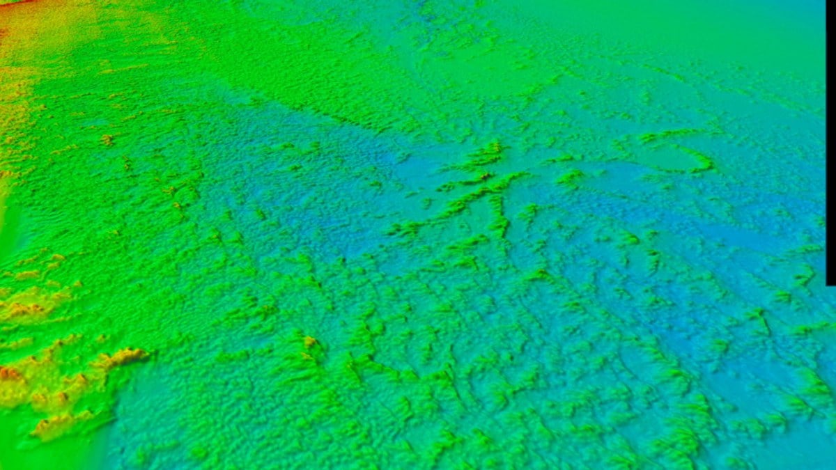 Dünyanın en geniş derin deniz mercan resifi haritalandırıldı