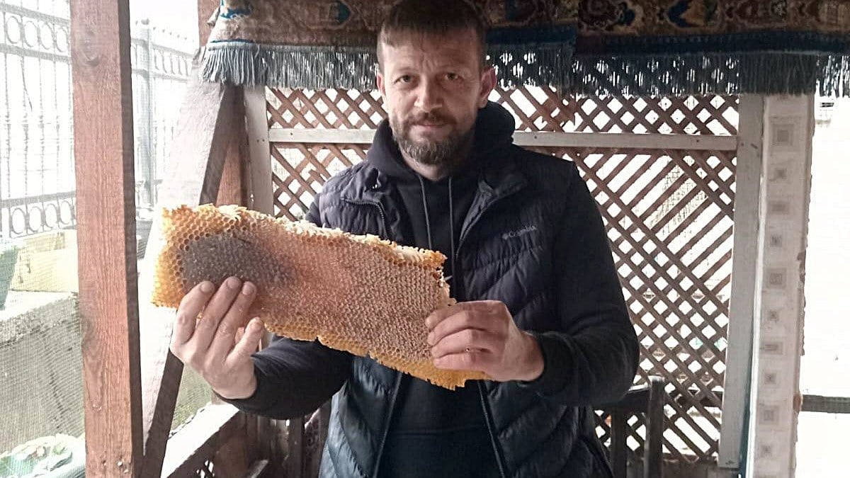 Düzce’de arılarının kaçtığını sanan vatandaş eski valizi açınca şoke oldu