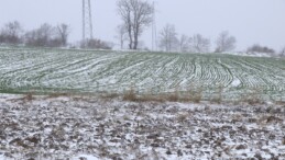 Edirne’ye kar yağdı, buğday üreticileri sevindi