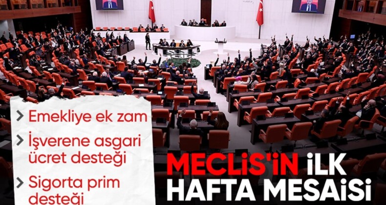 Emekliye zam bu hafta Meclis Genel Kurulu’nda görüşülecek