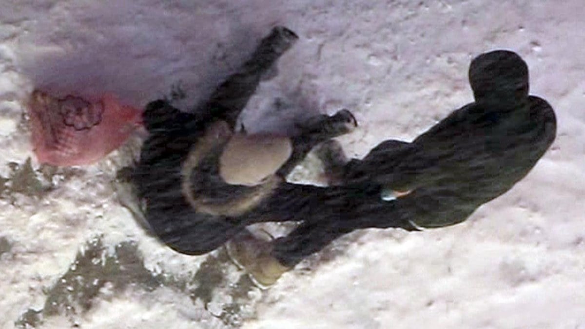 Erzurum’da cadde ve sokaklar buz pistine döndü: Ayakta durmak bir mucize