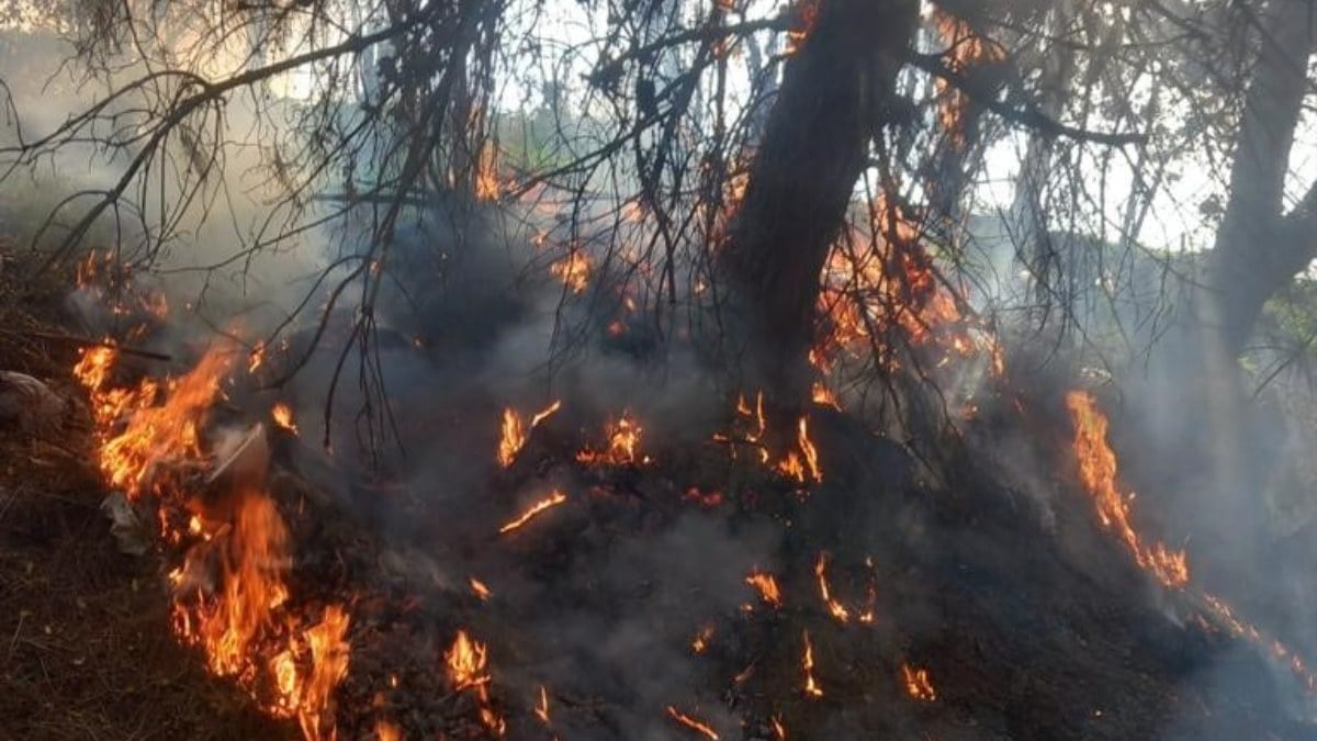 Hatay’da yangın paniği! Ormanlık alanda alevler yükseldi