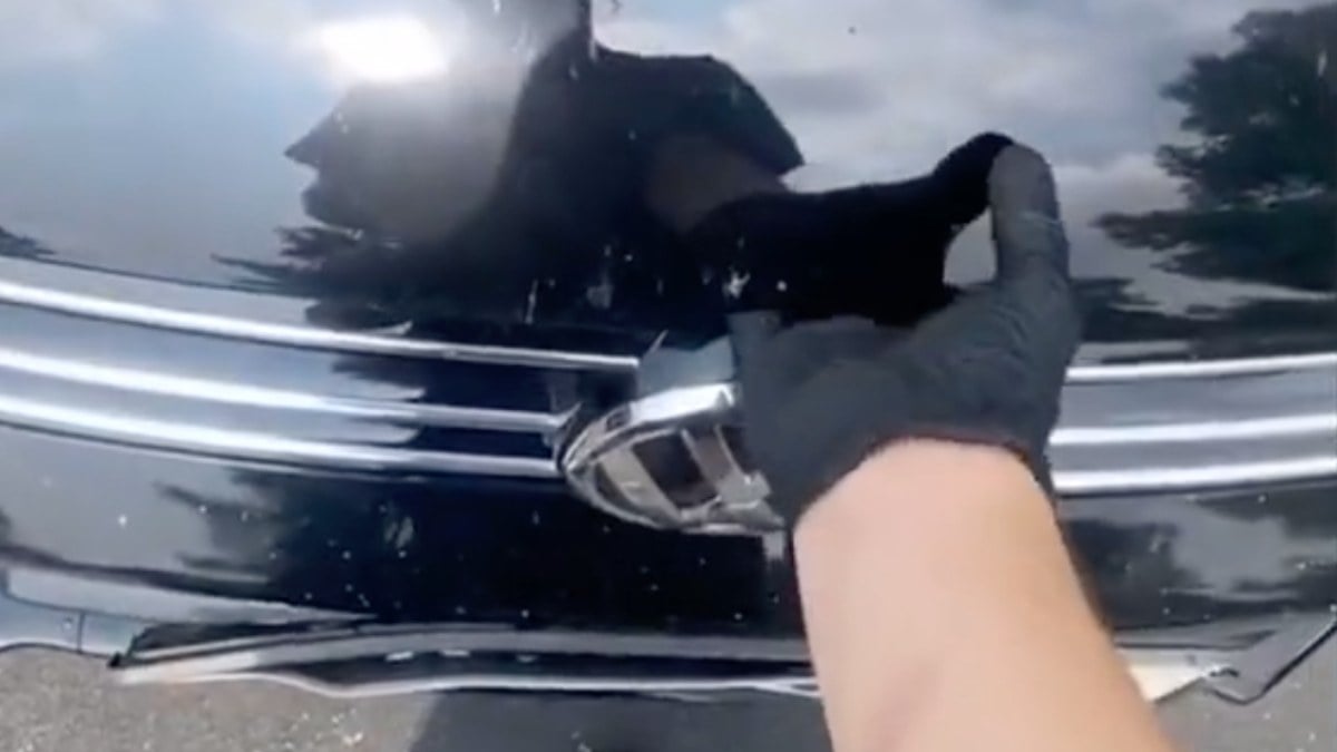 Hayatının şokunu yaşadı! Kaputun altında yakalanan keseli sıçanın dramatik halleri